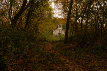 Fototapeta premium ruins of an ancient church in an autumn forest.