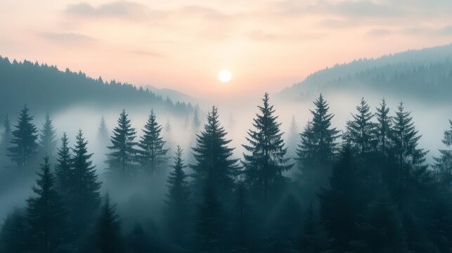 Serene sunrise paints misty mountain forest in ethereal light, creating a magical landscape.