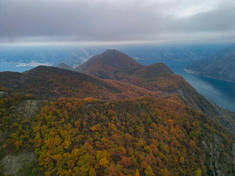 Mountain fjord bay valley horizontal panorama autumn forest wilderness nature landscape view.
