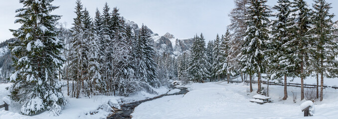 Snowy creek and forest in the Dolomites in the winter