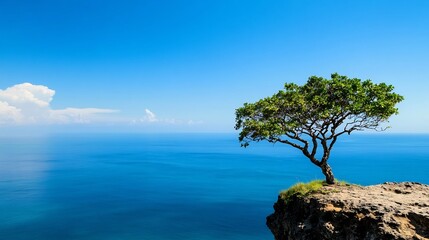 Stunning Tropical Tree on Cliff Overlooking Serene Ocean Landscape