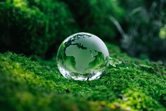 Crystal globe glass on green moss in forest to protect nature Save and care World for sustainable. concept of the environment ecology and Earth Day. eco environment and ESG concept.