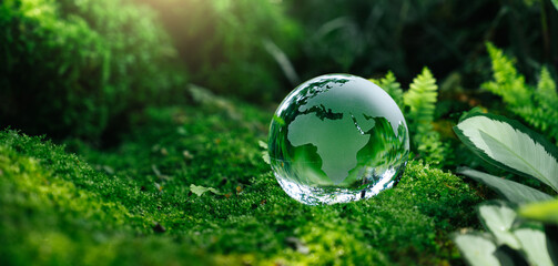 Crystal globe glass on green moss in forest to protect nature Save and care World for sustainable....