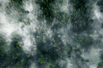 Aerial view of forest,ecosystem and healthy environment. Texture of green tree forest.
