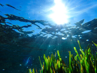 Dark blue ocean surface seen from underwater. Abstract waves underwater and rays of sunlight...