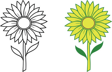 Simple Sunflower Drawings Outline, Colored, Botanical Illustration