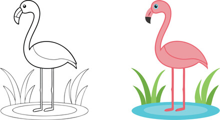 Flamingo Coloring Page Bird Illustration, Wetland Habitat, Pink Feathers
