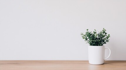 Fototapeta premium Minimalist plant in white mug on wooden table against white wall.
