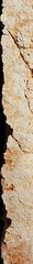 Naklejka premium Beige abstract background. Dark sandstone rock texture. Beige stone surface with copy space for design. Web banner. Wide.