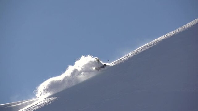 Ski freeride poudreuse
