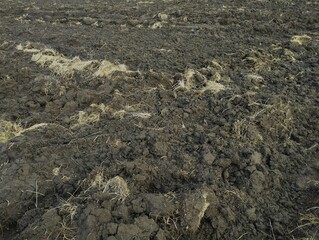Texture of black plowed soil in a field in spring. The theme of agriculture and soil preparation for sowing.