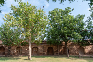 Bäume auf der Wiese im Park, in der Mehrangarh Festungsanlage in Jodhpur Rajasthan Indien