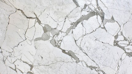 Fototapeta premium Elegant White Marble Texture with Gray Veining.