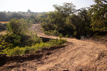 Mountain hiking trail to climb Mount Picacho in the Oaxaca Valley in Mexico. © Leckerstudio