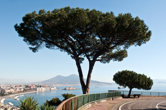Napoli con i pini