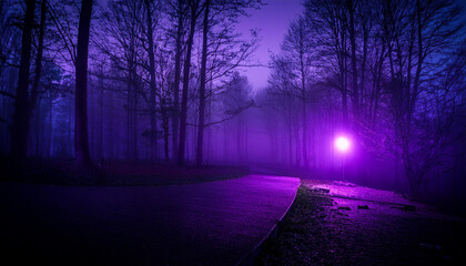 Obraz premium purple light is illuminating a course in a darkish and foggy wooded area at night