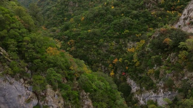 Aerial view of Acheron Springs with lush forest and tranquil river in Epirus, Greece.