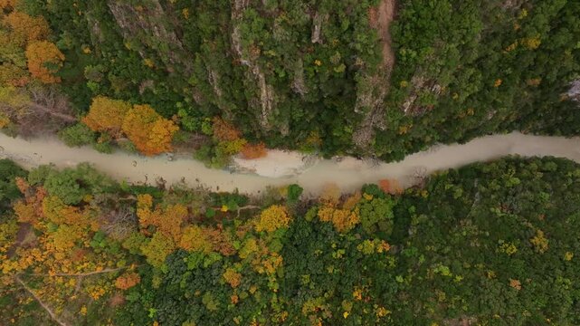 Aerial view of Acheron Springs with lush green forest and serene river, Epirus, Greece.