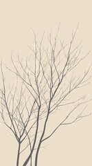 Obraz premium Bare Tree Silhouette on Beige Background