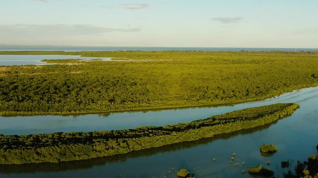 Mangrove forest in Olango Island. Wildlife Sanctuary with sunset. Lapu-Lapu, Philippines.