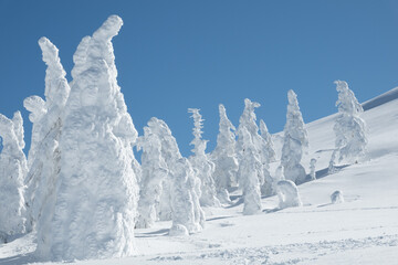 蔵王のスノーモンスター