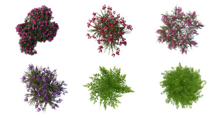 tree top view plant landscape architecture nature garden aerial render. trees branch isolate collection illustration environment green botany urban bush park. tree architecture conifer decorative.