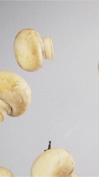 Champignons in the Kitchen. Button mushrooms thrown up on a white background hang in the air. Filmed at a speed of 480fps Vertical Shot.
