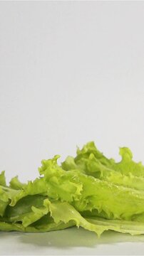 side dish falling and splashing on white surface with white-gray isolated background in slow motion shot on Phantom Flex rapidly. Bouncing fresh tasty green meal. Vertical Shot.