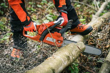 Man holding a chainsaw and cut trees. Lumberjack at work wears orange personal protective...