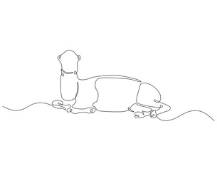 Continuous line drawing of camel. Single line illustration of arabian camel. Dessert animal, dromedary vector outline. Editable outline