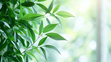 A quiet and serene environment for self-reflection and personal growth Self-reflection Stock Photo with side copy space