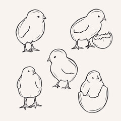 Hand drawn chicks collection. Whimsical illustration