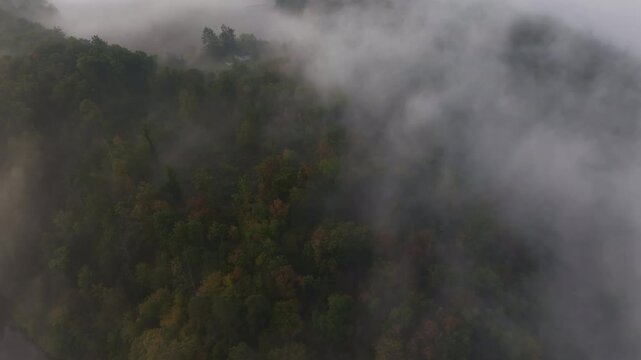 Aerial view of Zvikov Castle and the Moldau river surrounded by fog and forest at sunrise, Zvikovske Podhradi, Czech Republic.
