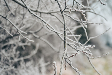 Winter frost in Ireland
