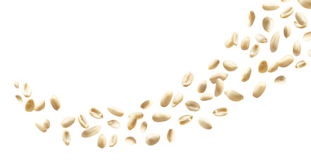Flying or falling shelled roasted peanuts on transparent PNG or white background. nutritious nuts, healthy foods concept. 