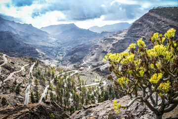 Roads in mountains, Gran Canaria