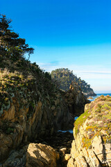 Big Dome and Granite Point,Point Lobos State Natural Reserve, Big Sur, California, USA
