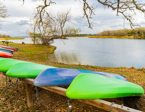 Colorful Kayaks on Lake Bastrop , Lake Bastrop South Shore Park, Bastrop, Texas, USA