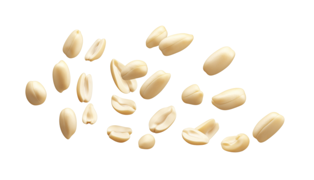 Flying or falling shelled roasted peanuts on transparent PNG or white background. nutritious nuts, healthy foods concept. 