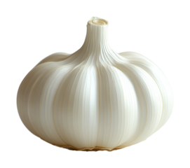 High fidelity generative ai visualization of garlic on for culinary food creative design isolated on transparent background png