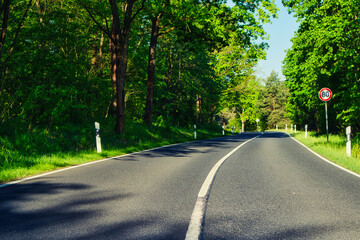 Fototapeta premium Asphalt - Landstrasse - Allee - Brandenburg - Strasse - - Bundesstrasse - Wald