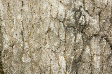 roccia