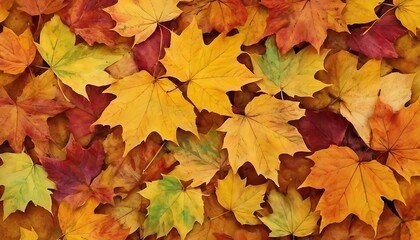 Fototapeta premium Texture or background of autumn leaves. Autumn mood,leaf, copy space, decoration, autumn, background, forest, season, tree, blur, canada, desk, harvest, horizontal,845