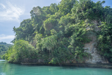 Lush Tropical Island Cove: Serenity in Emerald Waters