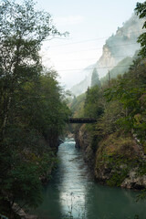 waterfall in the forest