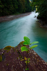 waterfall in jungle