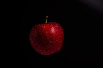 red apple on black background