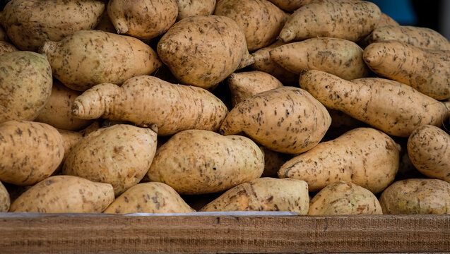 Taiwanese kamote sold in the streets of Ongpin Binondo Manila.