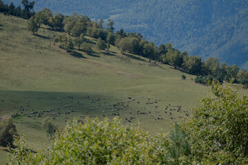 landscape with lake and mountains