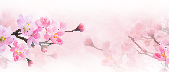 Bouquets of spring flowers on a transparent background for seasonal designs. Generative AI